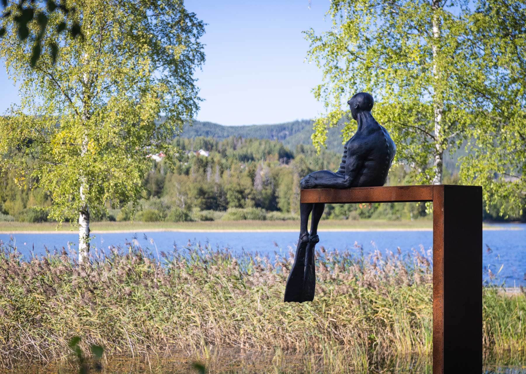 «Damvokteren» av Ole Martin Skaug